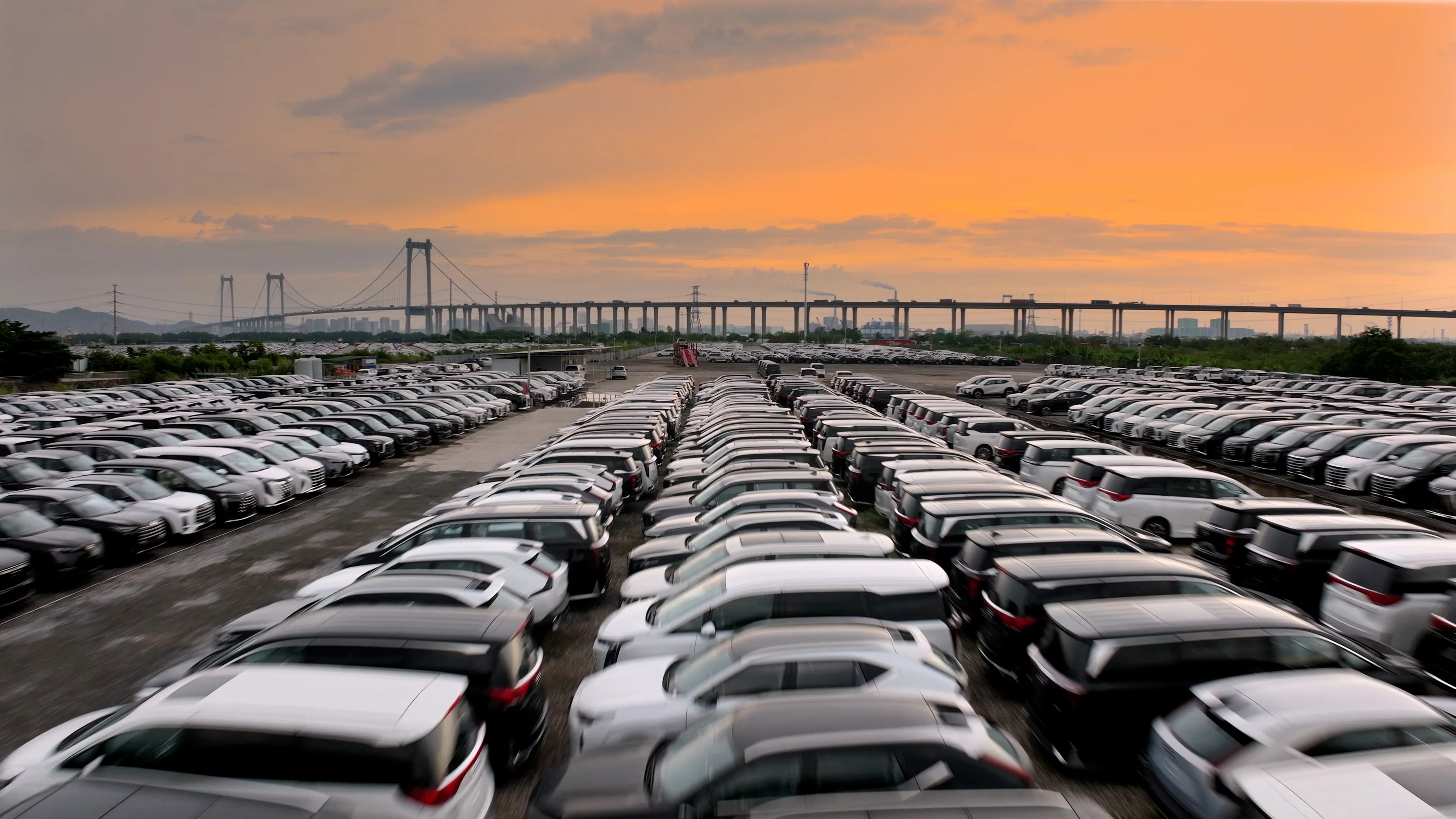 Fleet operations manager reviewing vehicle documentation